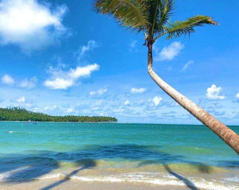 Tamandaré Flat Praia Dos Carneiros Eco Resort 26 מראה חיצוני תמונה